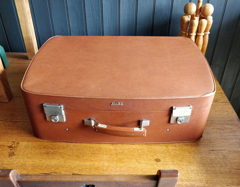 vintage antler suitcase