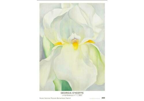 Original Georgia O'keefe Exhibition Poster   White Iris   Authentic Museum Print