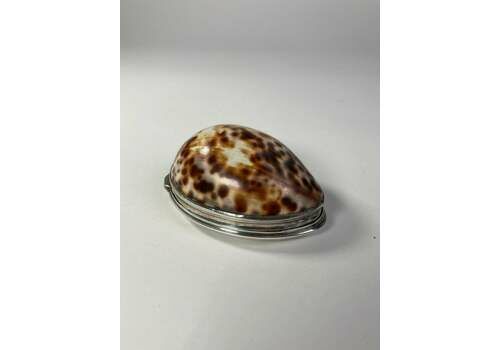 Aeneas Ryan Silver Cowrie Shell Snuff Box