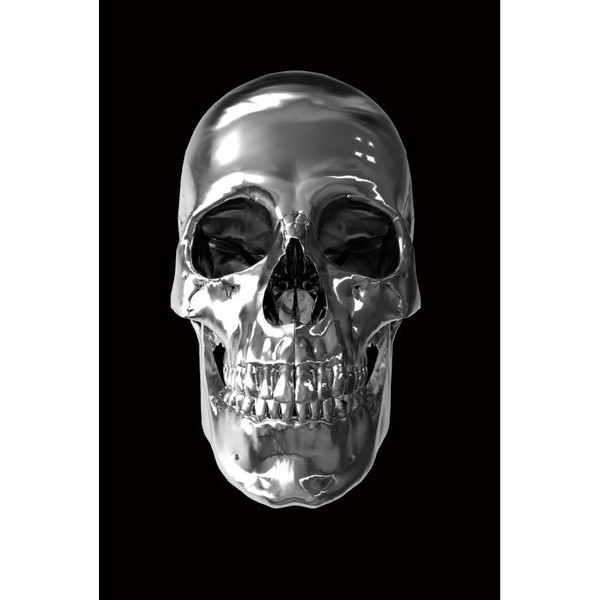Silvered Skull Tempered Glass Wall Art Vinterior