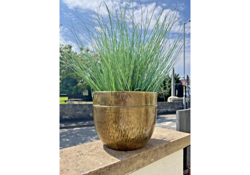 Antique Textured Regency Floral Brass Nestor Birmingham Planter Plant Tree Pot