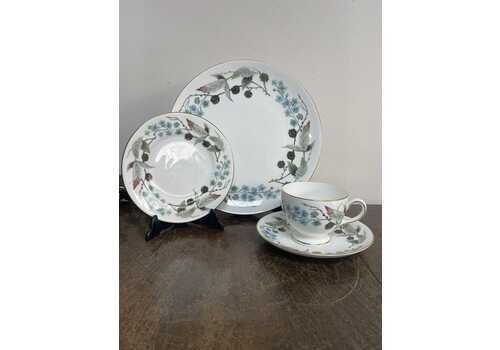 Wedgwood Spring Morning