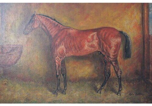 Kalo Zoltan, Chestnut Horse, 1950s, Oil On Canvas, Framed