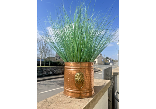 Vintage Copper Planter Plant Pot Lions Head Brass Handles Champagne Ice Bucket