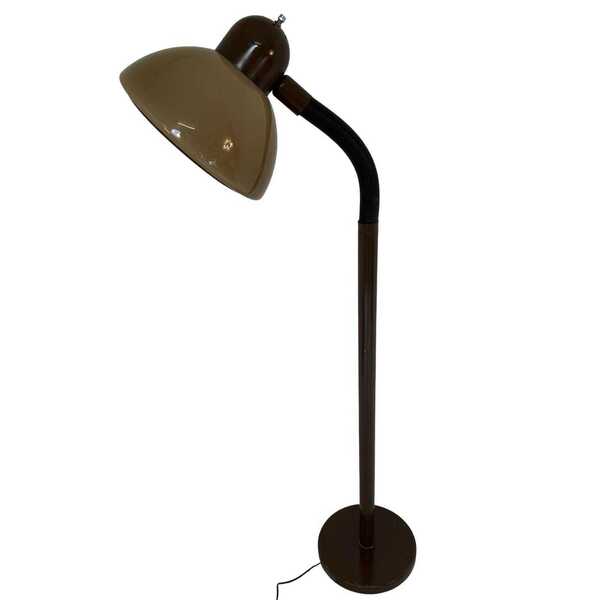 Dijkstra   Rare Model   Space Age Design / Mcm Floor Lamp With Gooseneck photo furniture