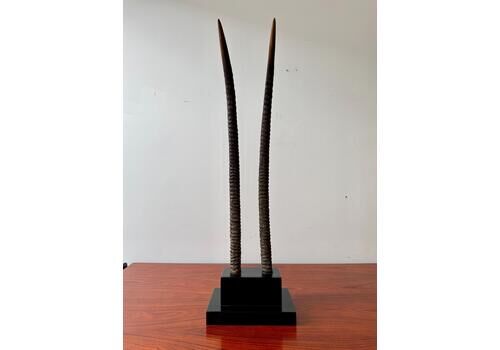 Faux African Oryx Horns On A Plinth