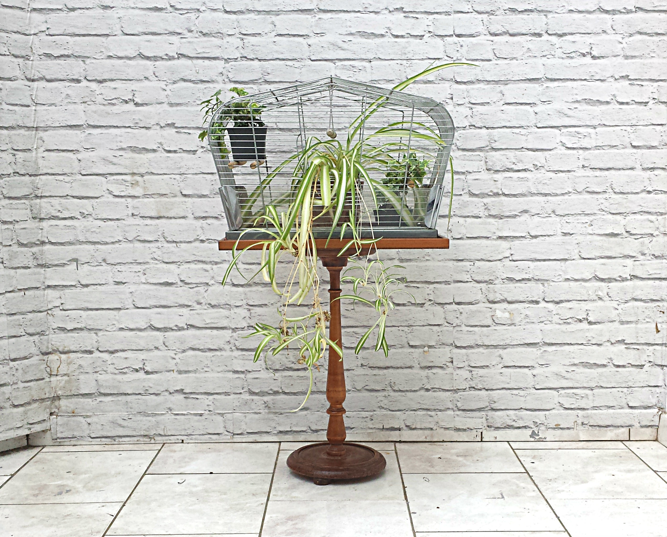 Vintage Birdcage On Turned Oak Stand Mid Century Indoor Plant Display 1960s Retro Vinterior
