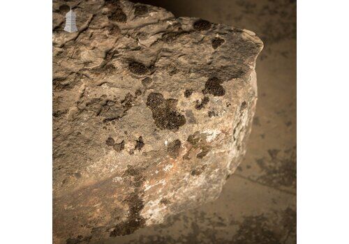 Huge Sandstone Block, Roughly Hewn, Approx. 7ft X 2ft