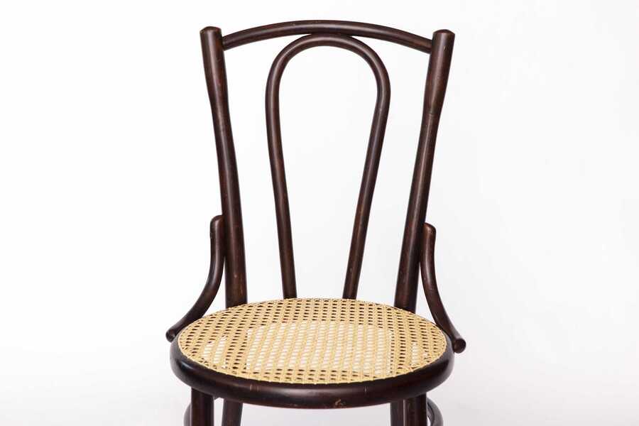 Fischel Bentwood Chair – Early 20th Century Thonet Style