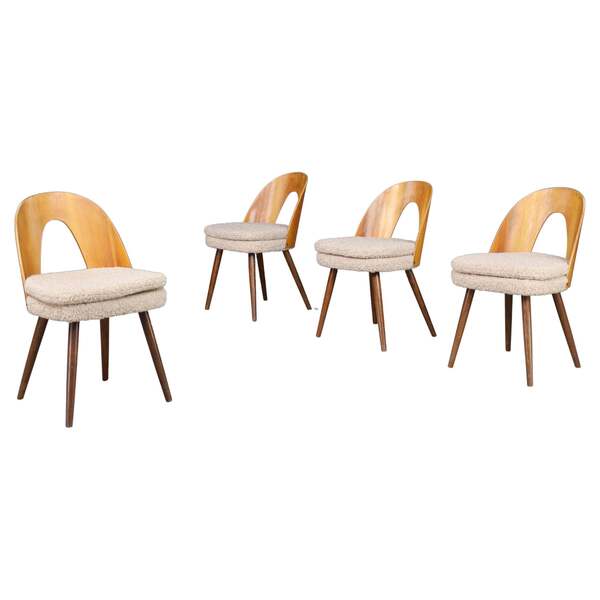 Antonin Suman For Tatra Dining Room Chairs In Walnut And Teddy ...