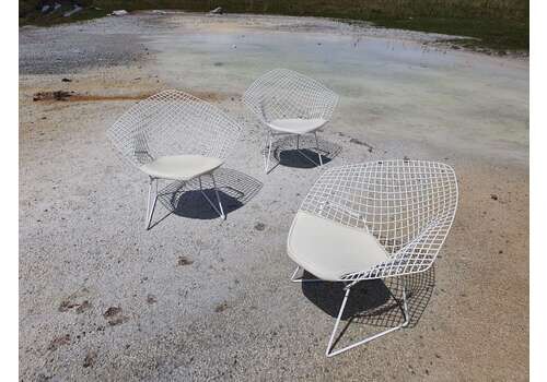 Genuine Harry Bertoia Diamond 421 Chairs. 1970s. 3 Available In White.