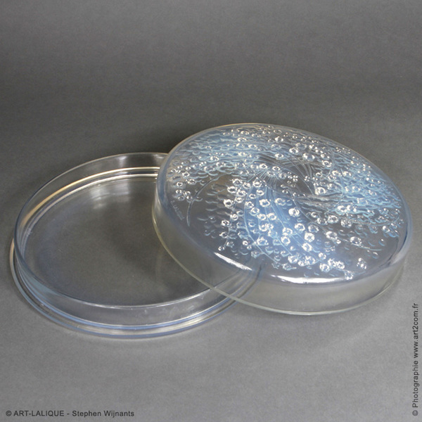 An Opalescent Muguet Boxe By  R.Lalique  In 1921. photo furniture