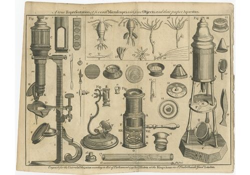Antique Print Of Microscopes (1749)