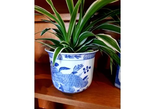 Chinese Porcelain Plant Pot, Oriental