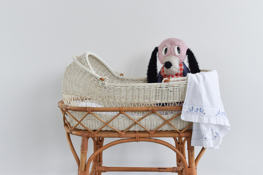 bamboo moses basket